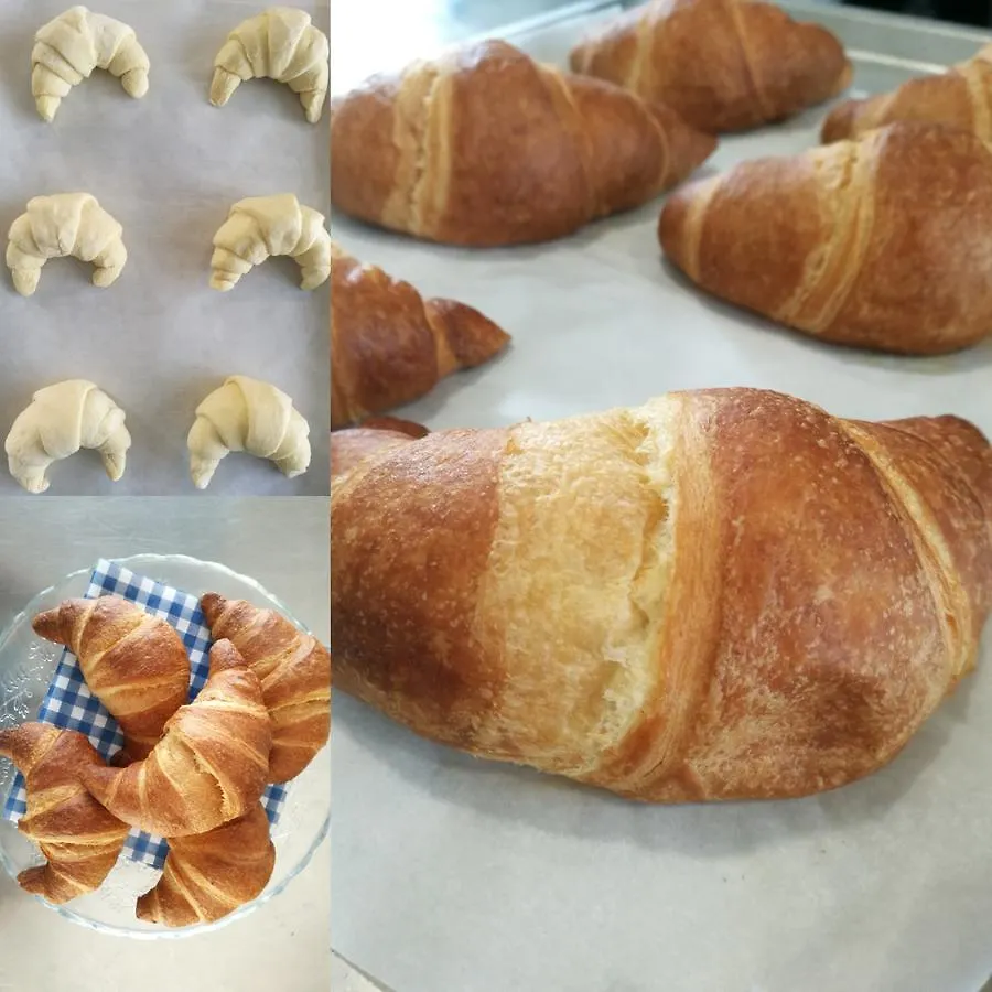 Fiore Di Zucca Bed & Breakfast Segrate