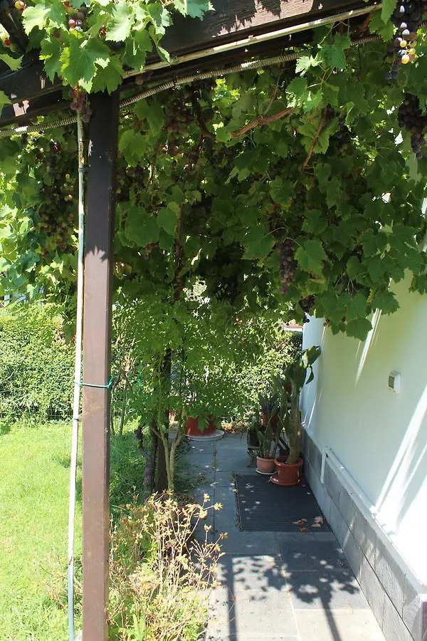 Fiore Di Zucca Bed & Breakfast Segrate